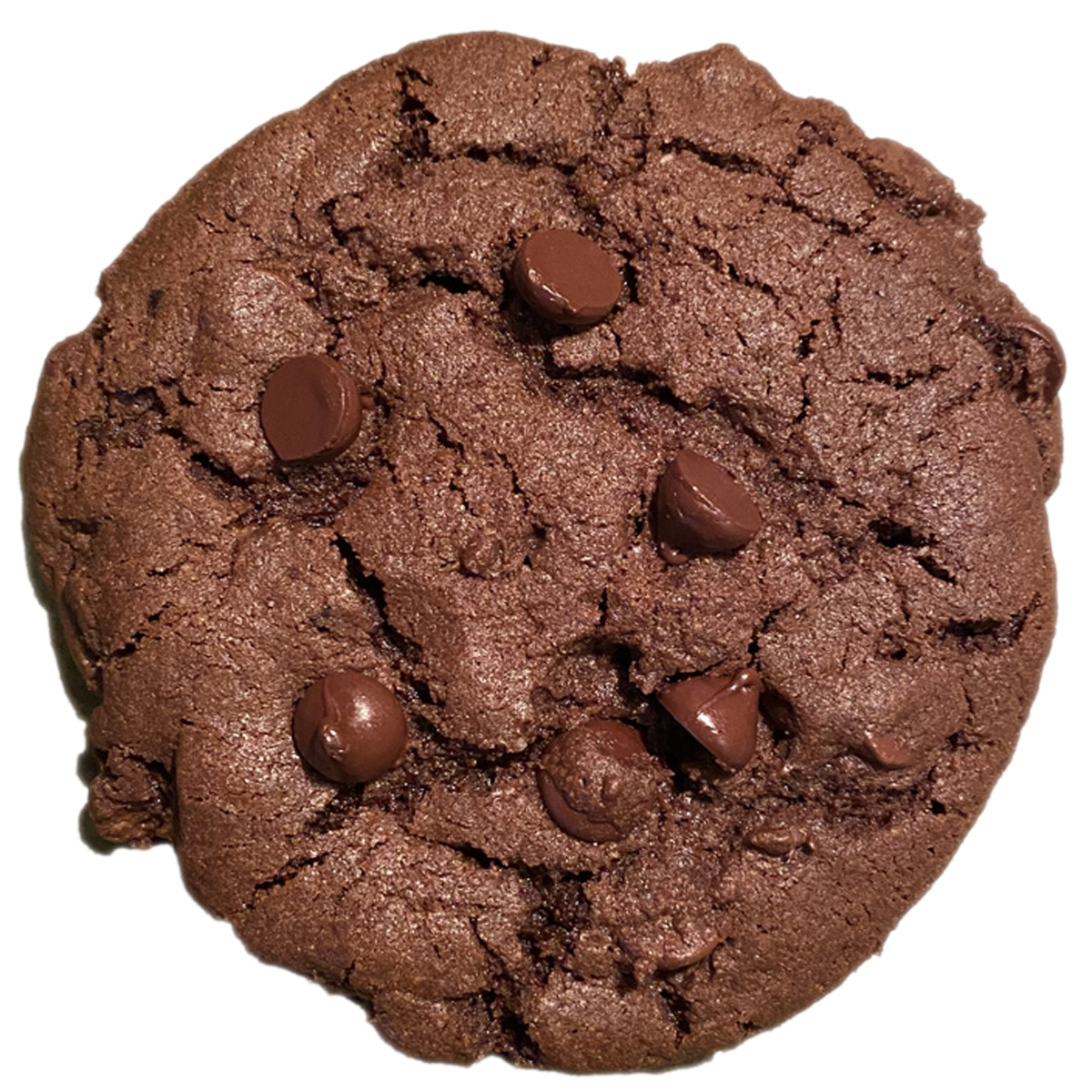 Dutch Chocolate Chocolate Chip Cookies