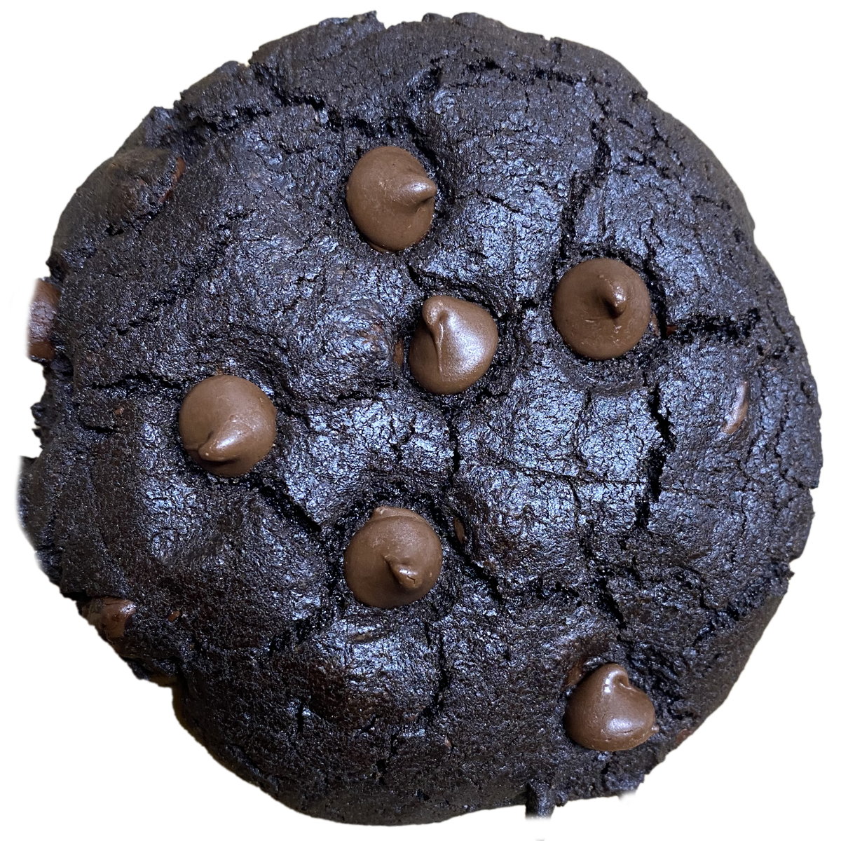 Midnight Chocolate Chocolate Chip Cookies