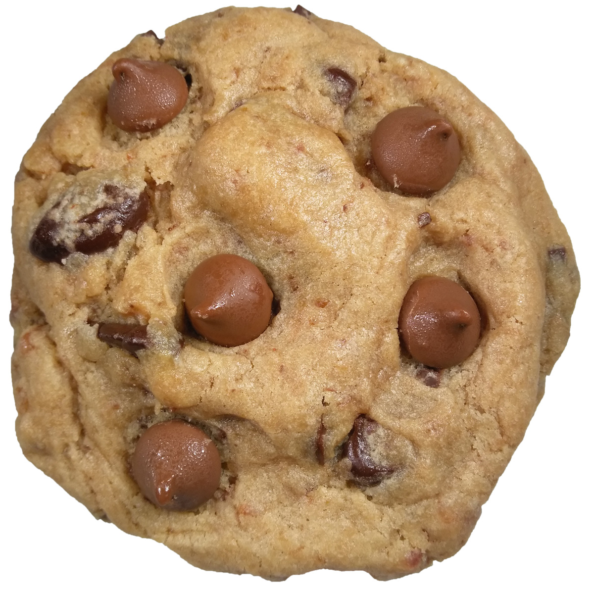 Oink Oink Chocolate Chip Cookies