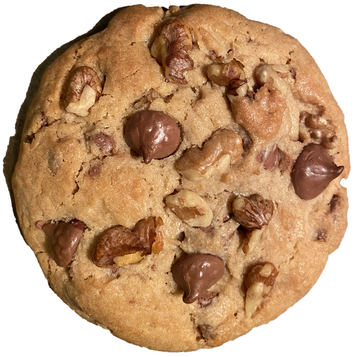 Pearl's Walnut Chocolate Chip Cookies
