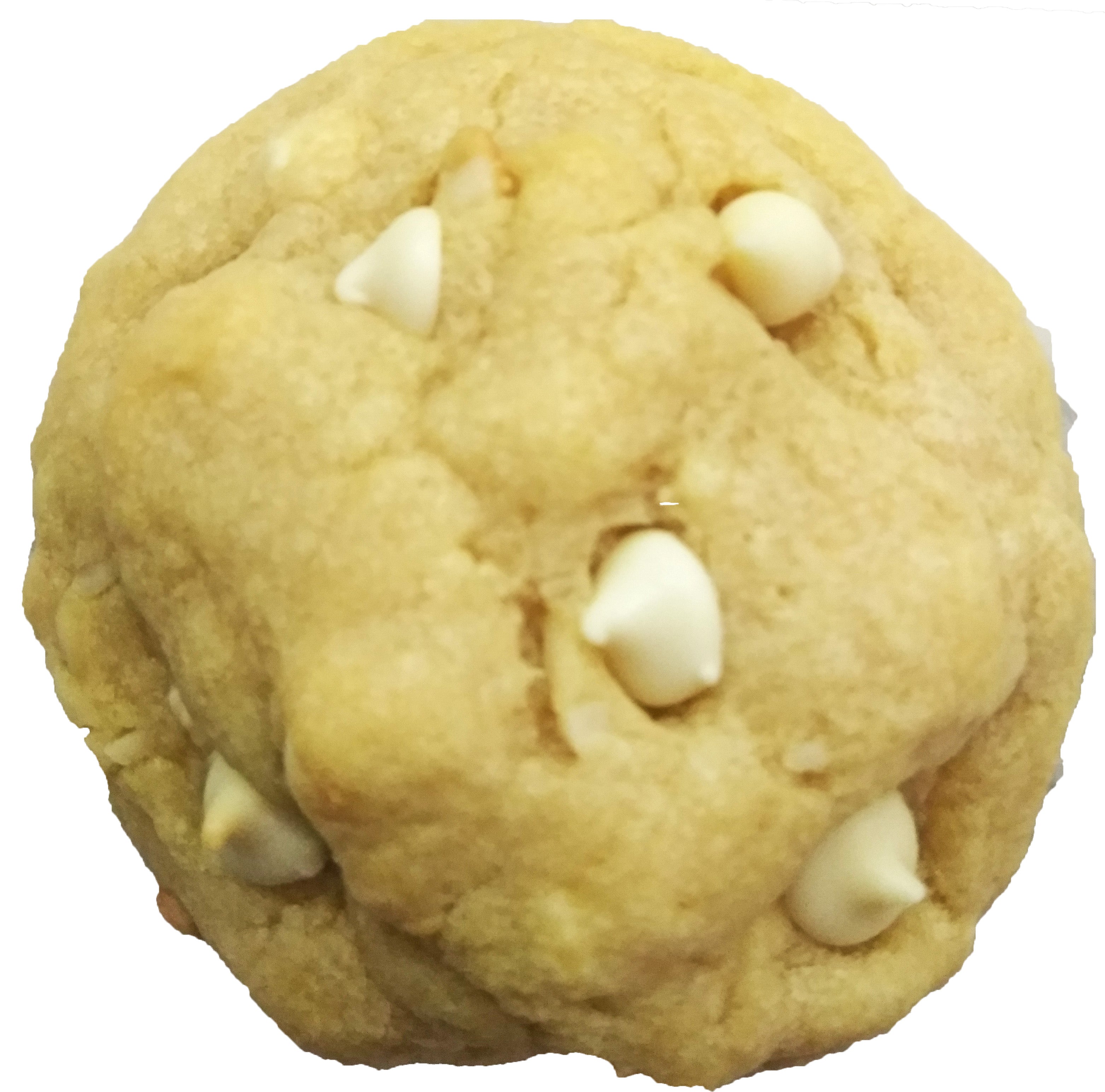 White Chocolate Chip Macadamia Nut Cookie